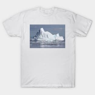 Iceberg T-Shirt